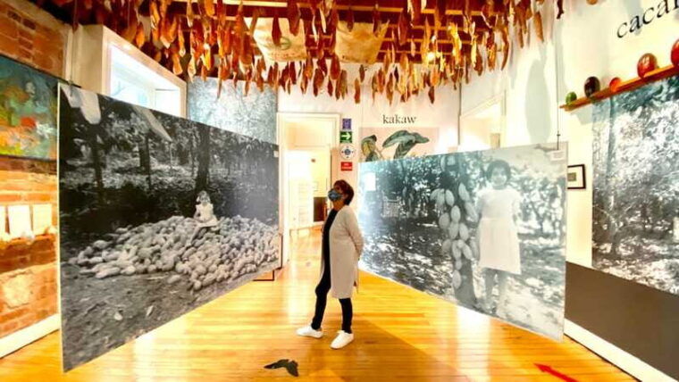 mexico-city-mucho-museum-of-chocolate-entrance-ticket