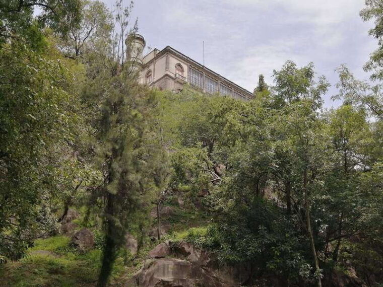 mexico-city-museum-of-anthropology-forest-and-pre-hispanic-food