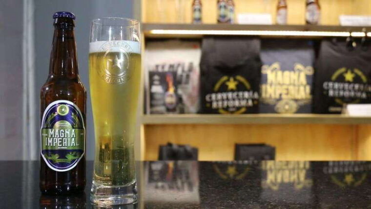 mexico-city-tasting-tour-and-craft-beer-experience