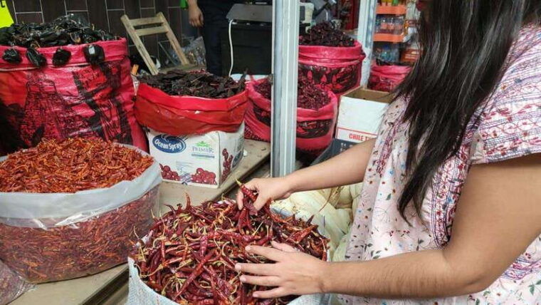 mexico-salsa-making-class-in-a-market-with-a-chef