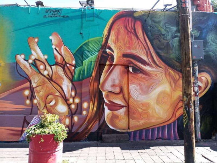 mexio-city-art-naco-murals-street-art-bike-tour