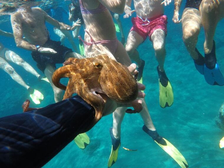 milos-half-day-speedboat-cruise-to-klefiko-with-snorkeling