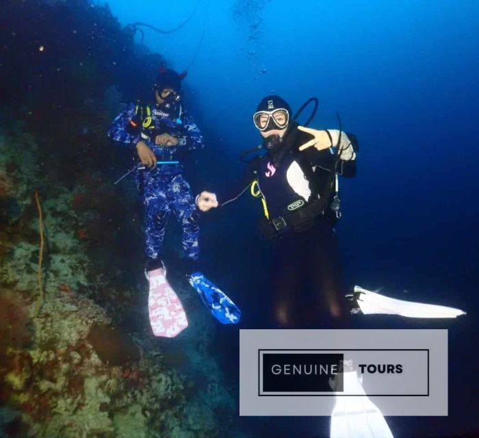 moalboal-scuba-diving-w-sardine-and-turtlesno-other-guest