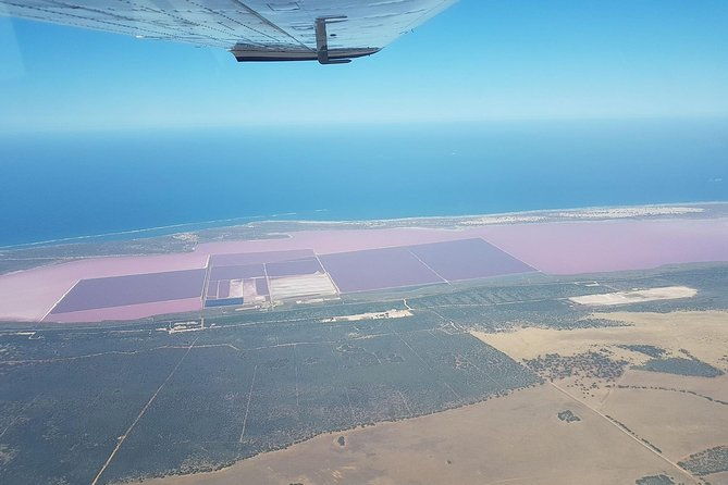 Monkey Mia Dolphins & Shark Bay Air Tour From Perth - FAQs