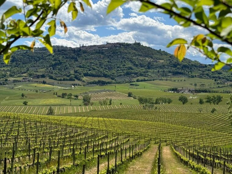 montalcinoprivat-e-bike-experience-discovering-orcia-valley