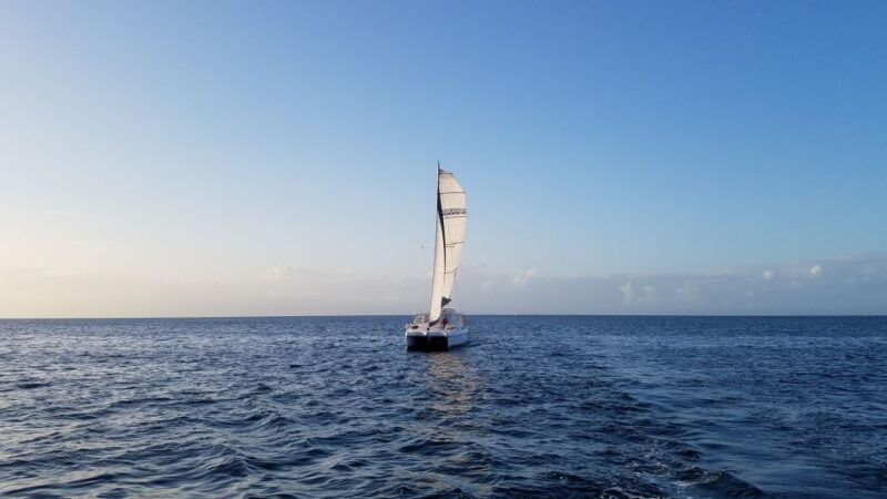 monterey-catamaran-sailing-cruise
