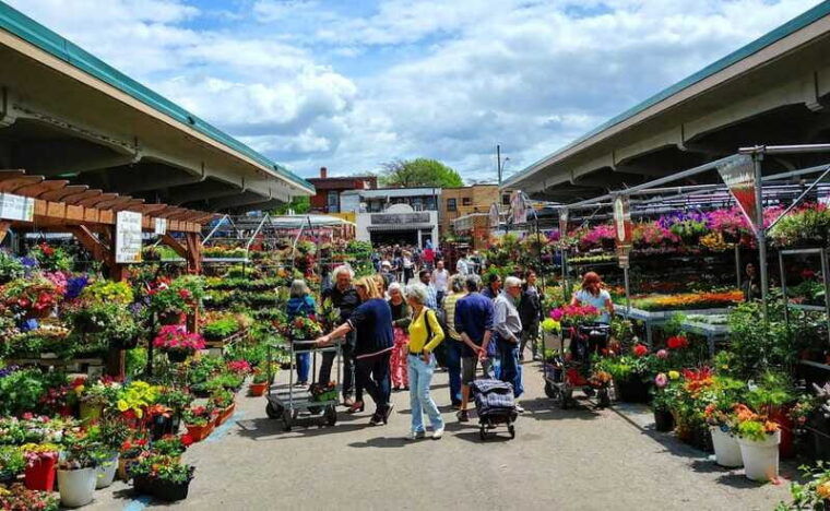 montreal-little-italy-and-jean-talon-market-walking-tour