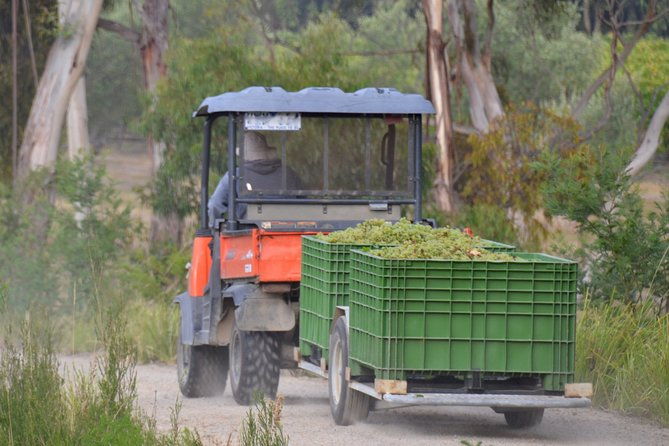 Mornington Peninsula Private Car Winery Tour.1-7 People One Car Price. - FAQ