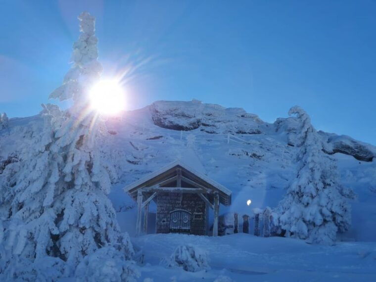 mount-arber-snowshoeing-in-the-bavarian-forest-guided-tour