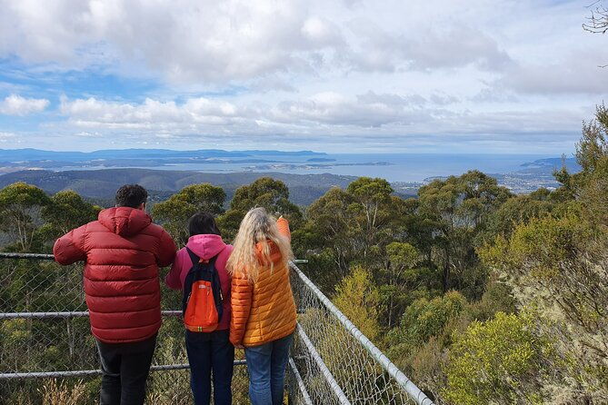 Mt Wellington Afternoon Small Group Driving Tour - Frequently Asked Questions