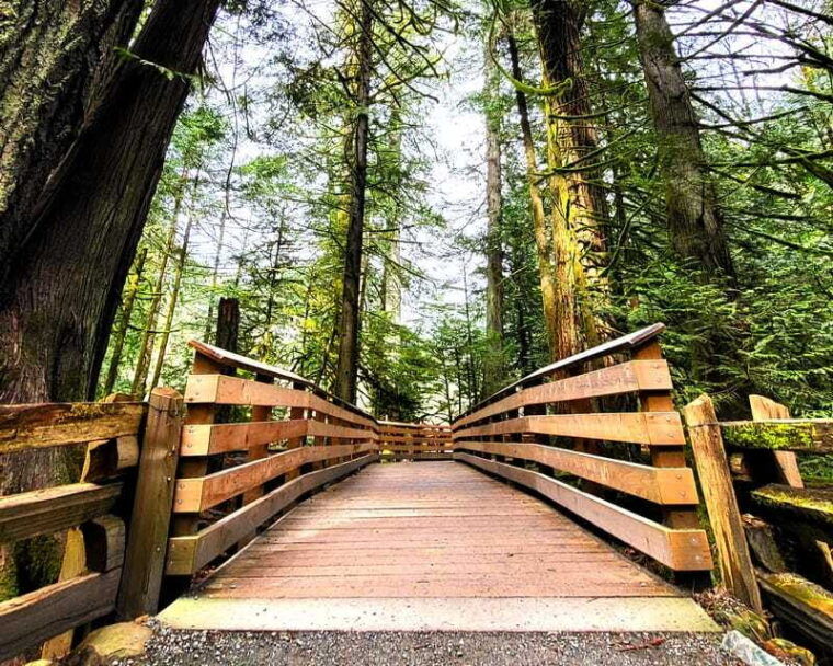 nanaimo-vancouver-island-waterfalls-vistas-hikes-caves