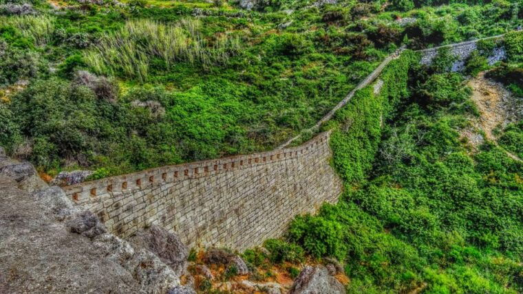 nature-highlights-private-walking-tour-with-transport