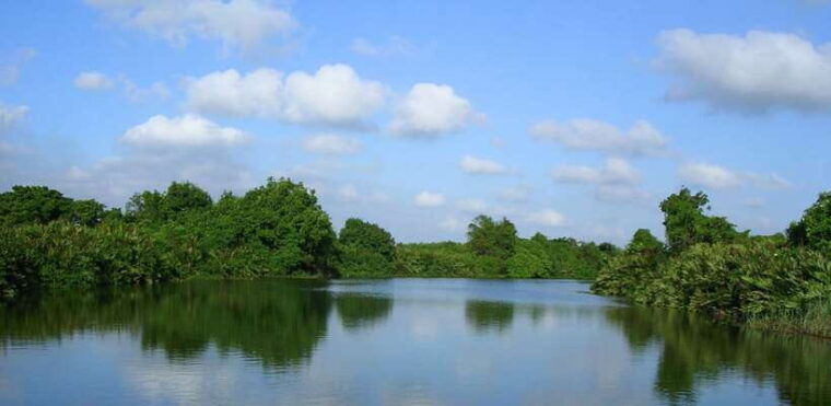 negombodutch-canal-lagoon-muthurajawela-private-boat-tour