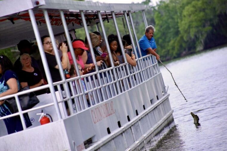 new-orleans-swamp-tour-on-covered-pontoon-boat