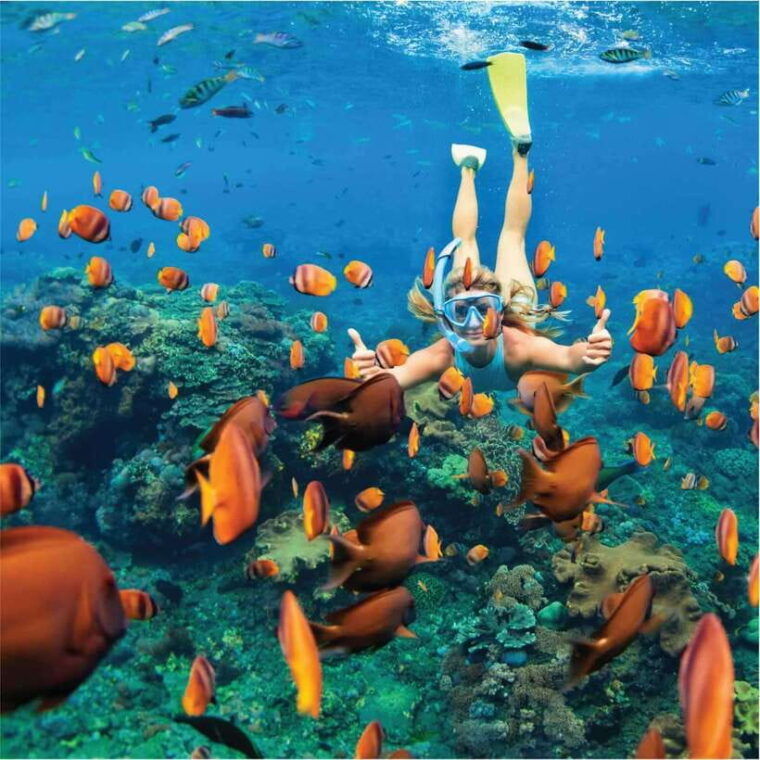 nha-trang-scuba-diving-and-eco-tourism-island-day-trip
