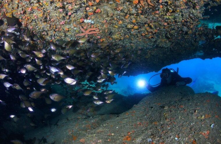 nha-trang-scuba-diving-experience-for-non-certified-divers