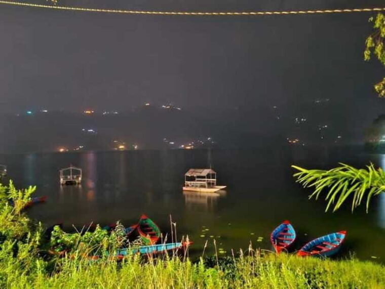 night-light-guided-tour