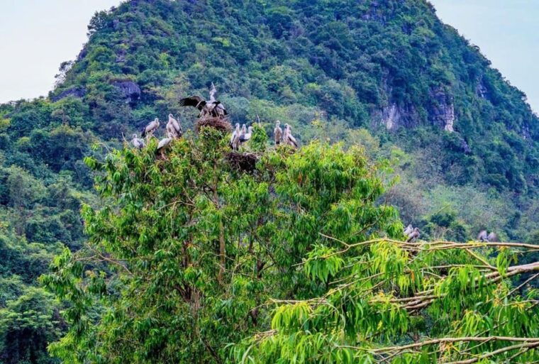 ninh-binh-ancient-capital-pagoda-2-day-tour