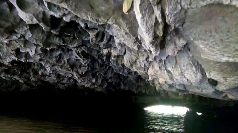 ninh-binh-day-trip-hoa-lu-trang-an-or-tam-coc