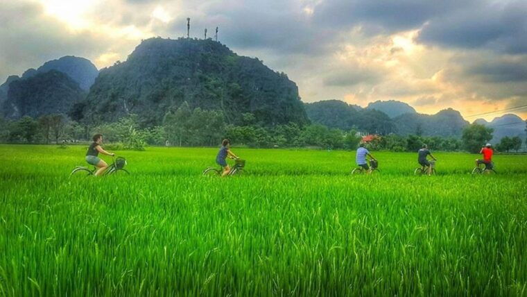 ninh-binh-tour-to-hoa-lu-tam-coc-boat-buffet-cycling