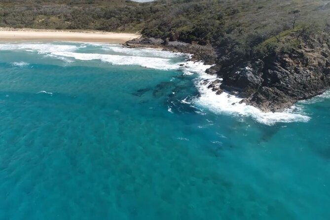 Noosa National Park & Dolphin adventure - The Sum Up: Is It Worth It?