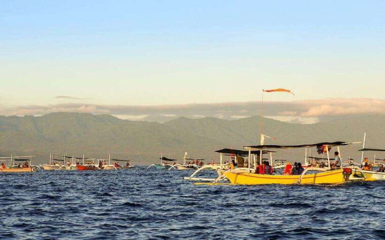 north-bali-dolphin-watching-and-snorkeling-tour