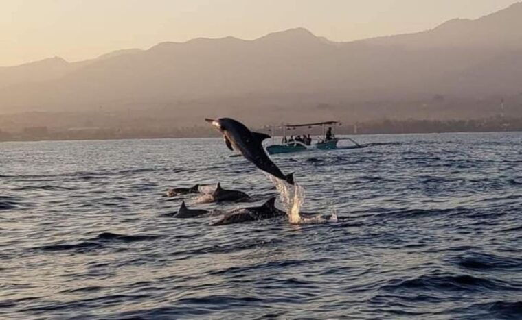 north-bali-sunrise-dolphin-trip-at-lovina-beach