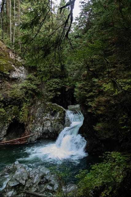 north-vancouver-lynn-canyon-guided-hike
