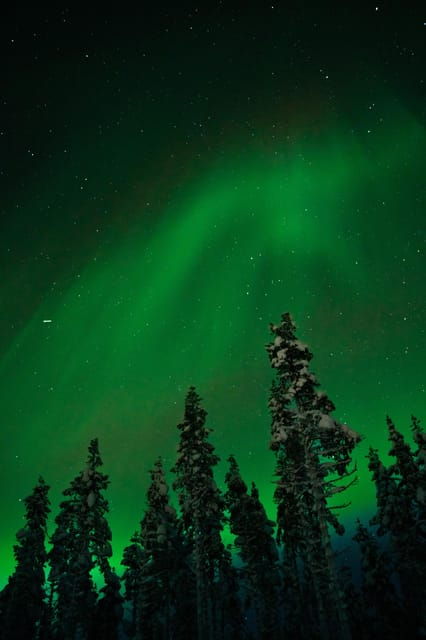 northern-lights-reindeer-sledge-ride-2