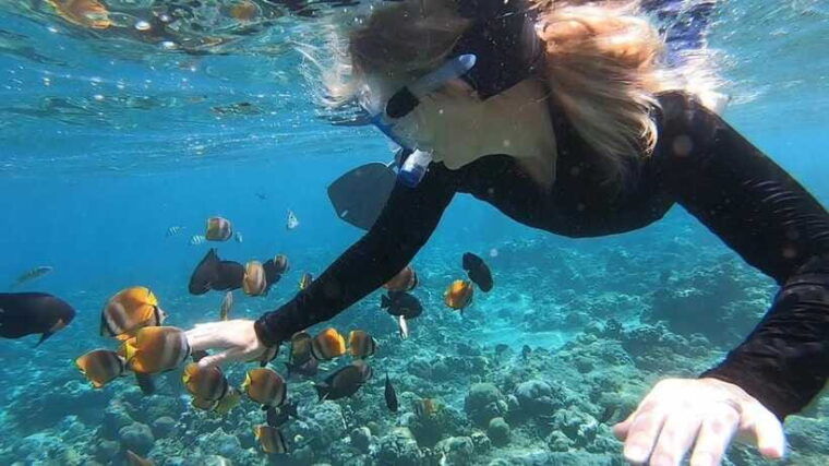 nusa-dua-tanjung-benoa-snorkeling-tour-with-pickup-options