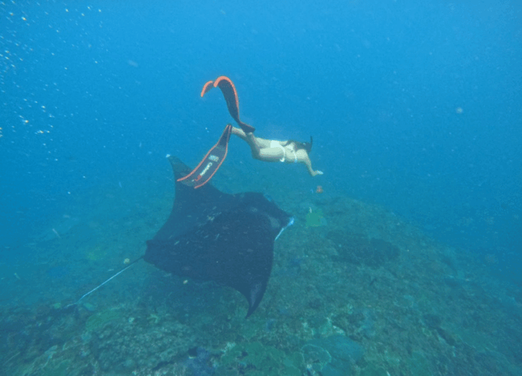 nusa-penida-nusa-lembongan-snorkeling-island-day-tour
