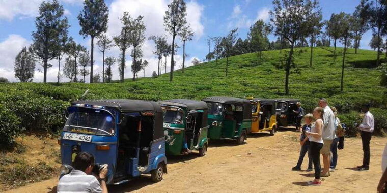 nuwara-eliya-ella-little-adams-peak-all-inclusive-tour