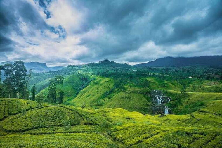 nuwara-eliya-guided-tour-with-tea-factory-visit