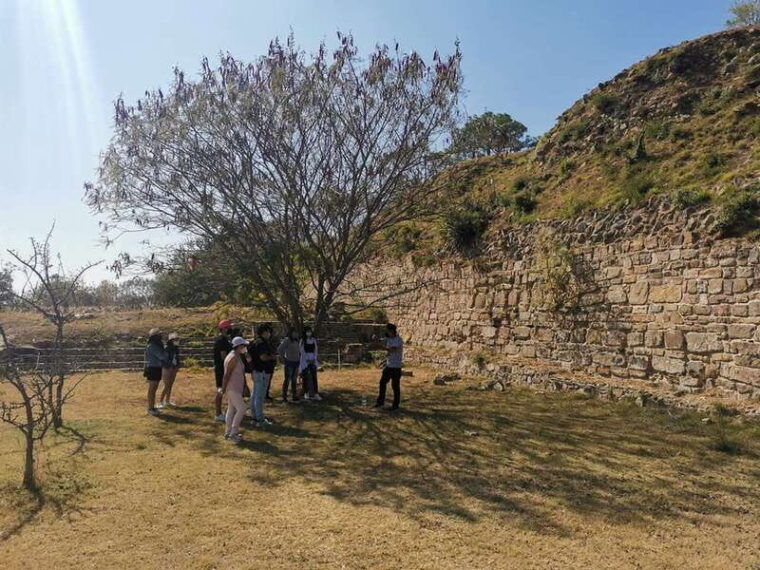 oaxaca-full-day-guided-tour-on-the-monte-alban-route