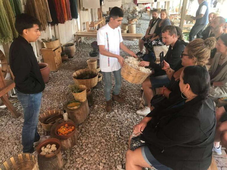 oaxaca-the-tule-tree-teotitlan-village-mezcal-tour