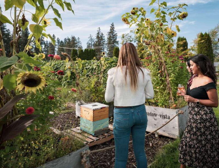 okanagan-bee-tour-wine-tasting-and-lunch-at-kelowna-winery