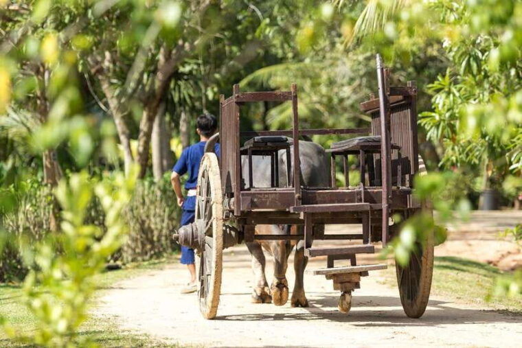 old-phuket-farm-ticket-countryside-local-life-culture