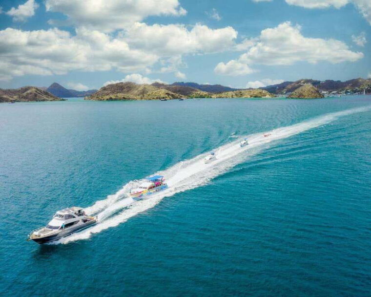 one-day-komodo-tour-by-speedboat