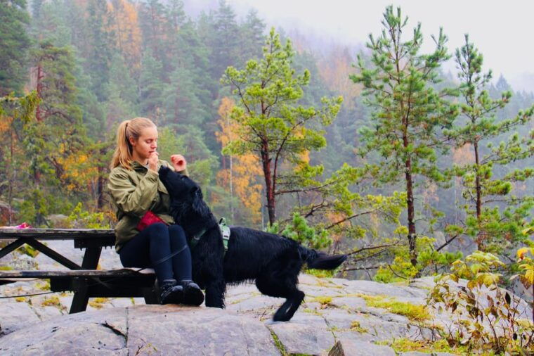 oslo-scenic-hike-with-dog-local-guide