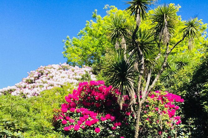 Otago Peninsula Scenery and Dunedin City Highlights Tour - FAQ
