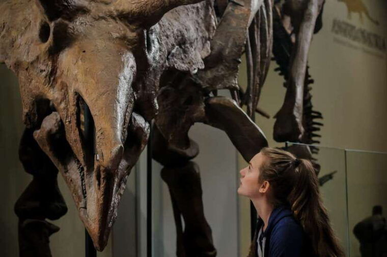 ottawa-canadian-museum-of-nature-admission