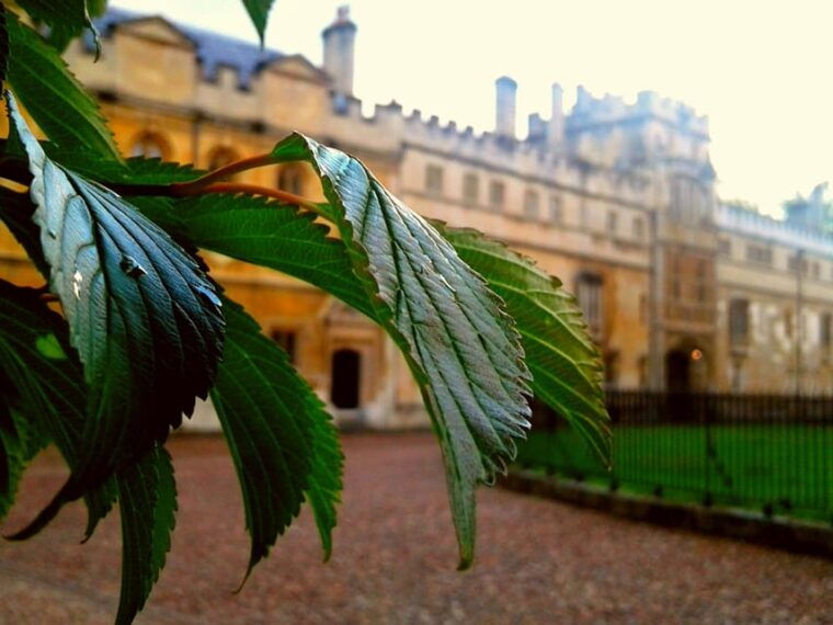 oxford-solo-traveller-private-tour