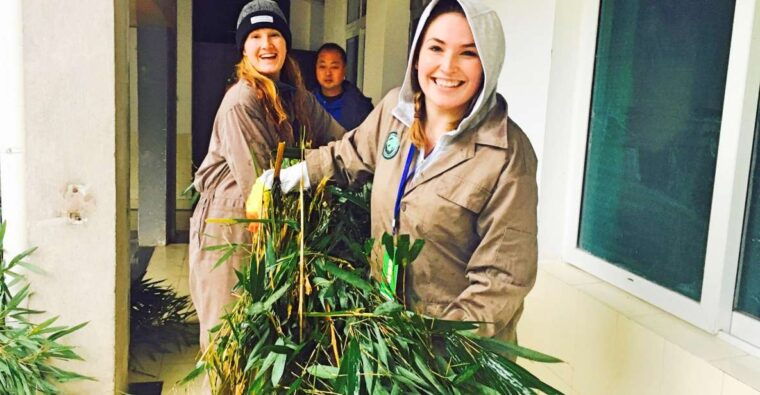 panda-volunteer-project-day-tripwolong-du-jiang-yan