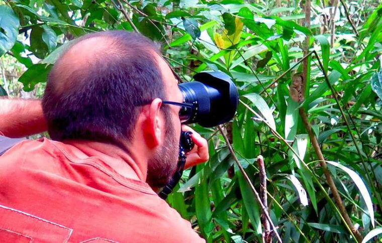 panglao-dao-forests-and-tarsier-sanctuary-tour-with-lunch