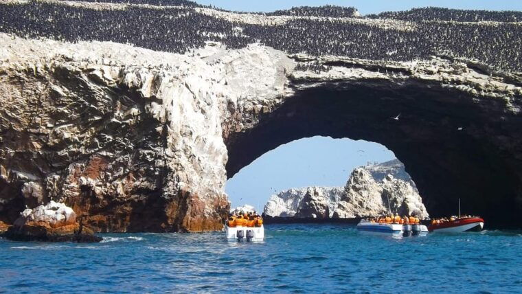 paracas-ballestas-islands-paracas-reserve-full-day