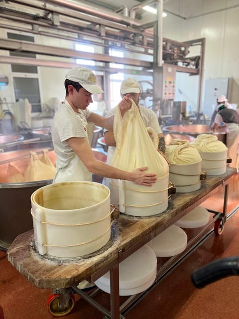 parmesan-cheese-and-balsamic-vinegar-food-tour-and-tasting