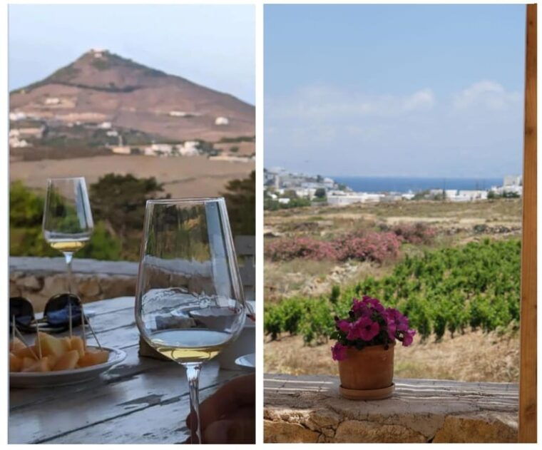 paros-wine-tasting-at-local-winery