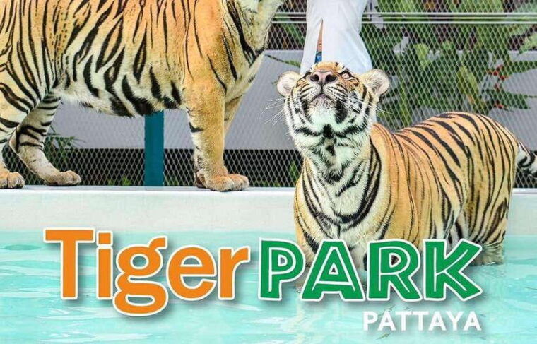 pattaya-custom-tour-private-car-charter-from-bangkok
