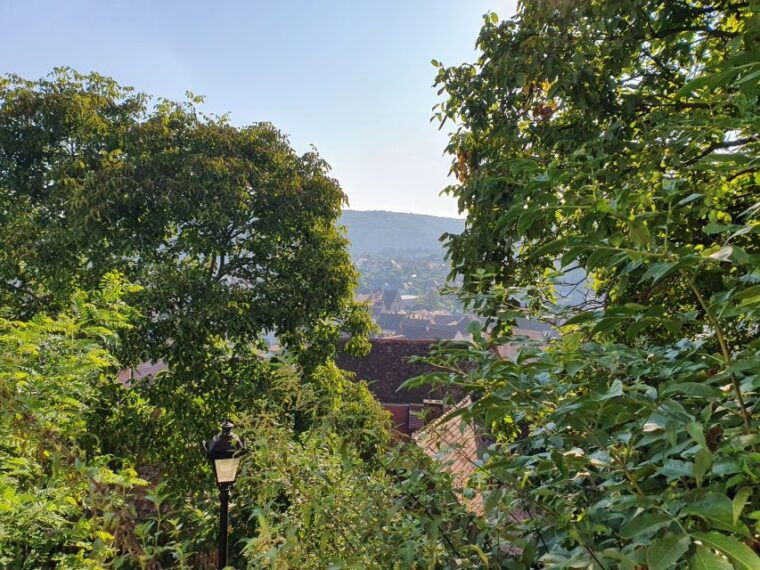 peles-castle-bran-castles-and-brasov-city-private-tour