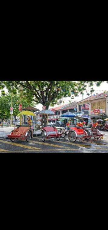 penang-exciting-local-half-day-private-tour-6-10pax5hours